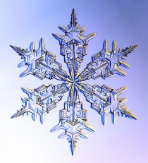 snowflake3image