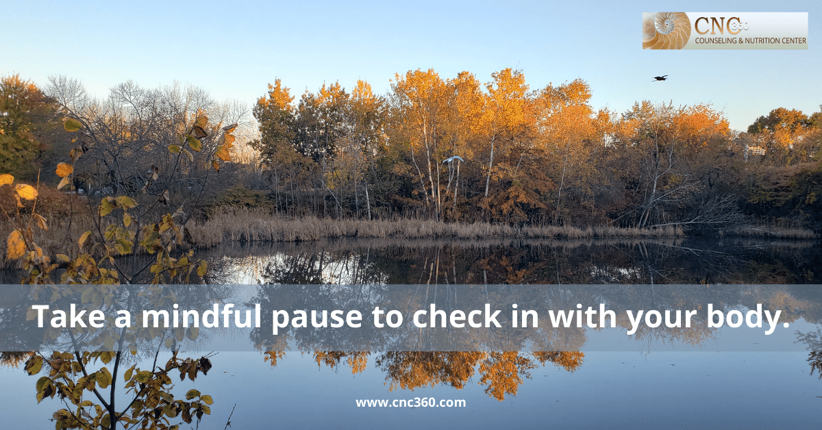 during the holiday season take a mindful pause