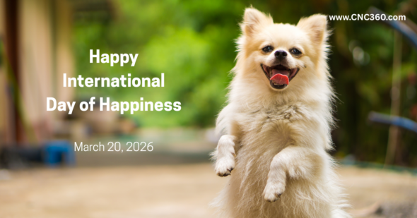 slow down to notice things around you for pleasure and happiness.